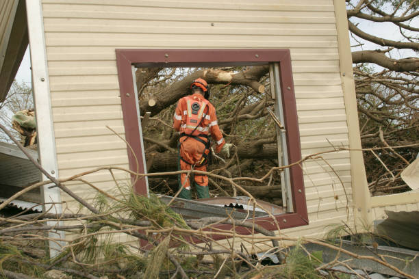 Best Tree and Shrub Care  in Palm Springs, CA